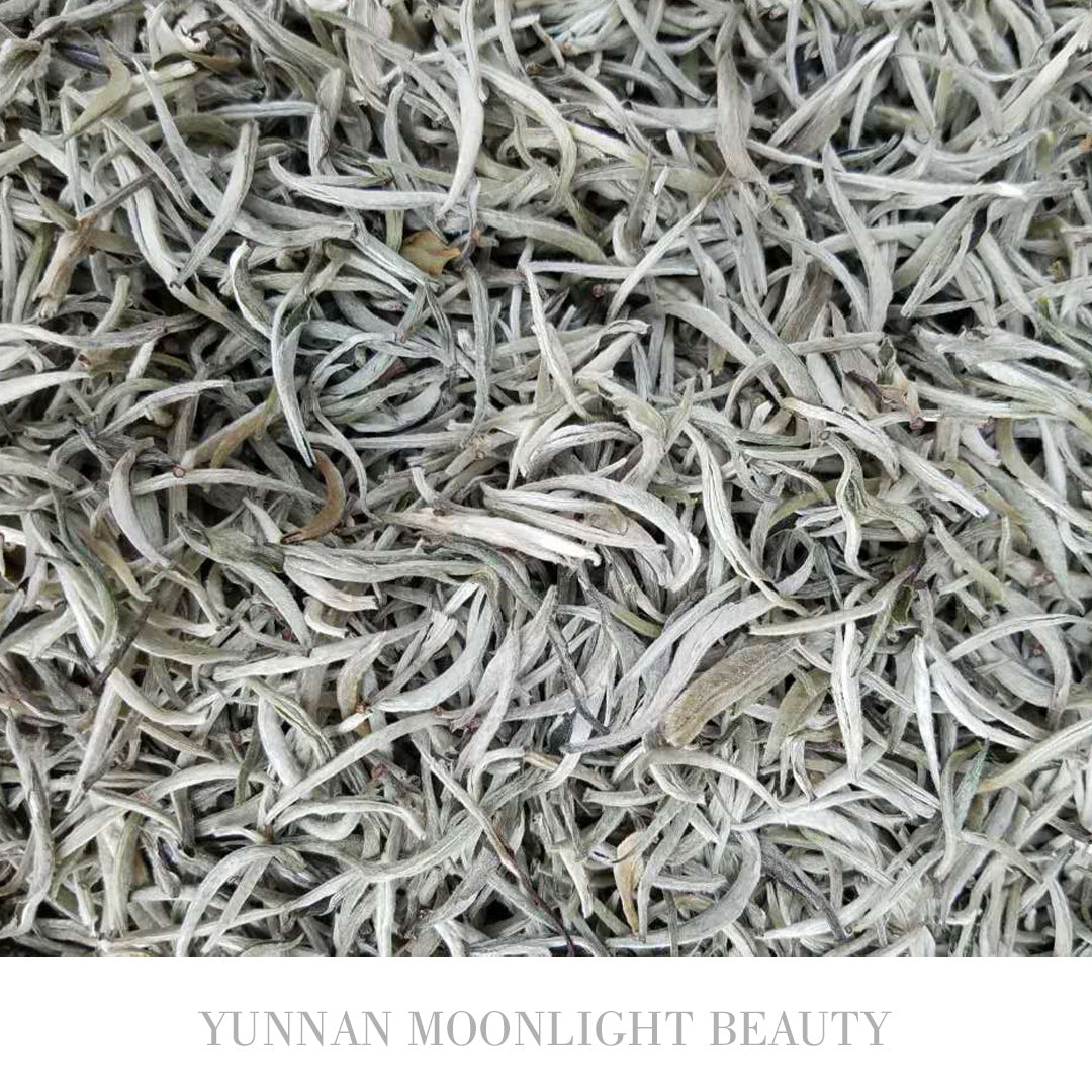 Yunnan Moonlight Beauty