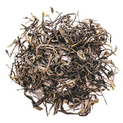 Wild Ancient Sheng Pu-erh - Vintage 2011